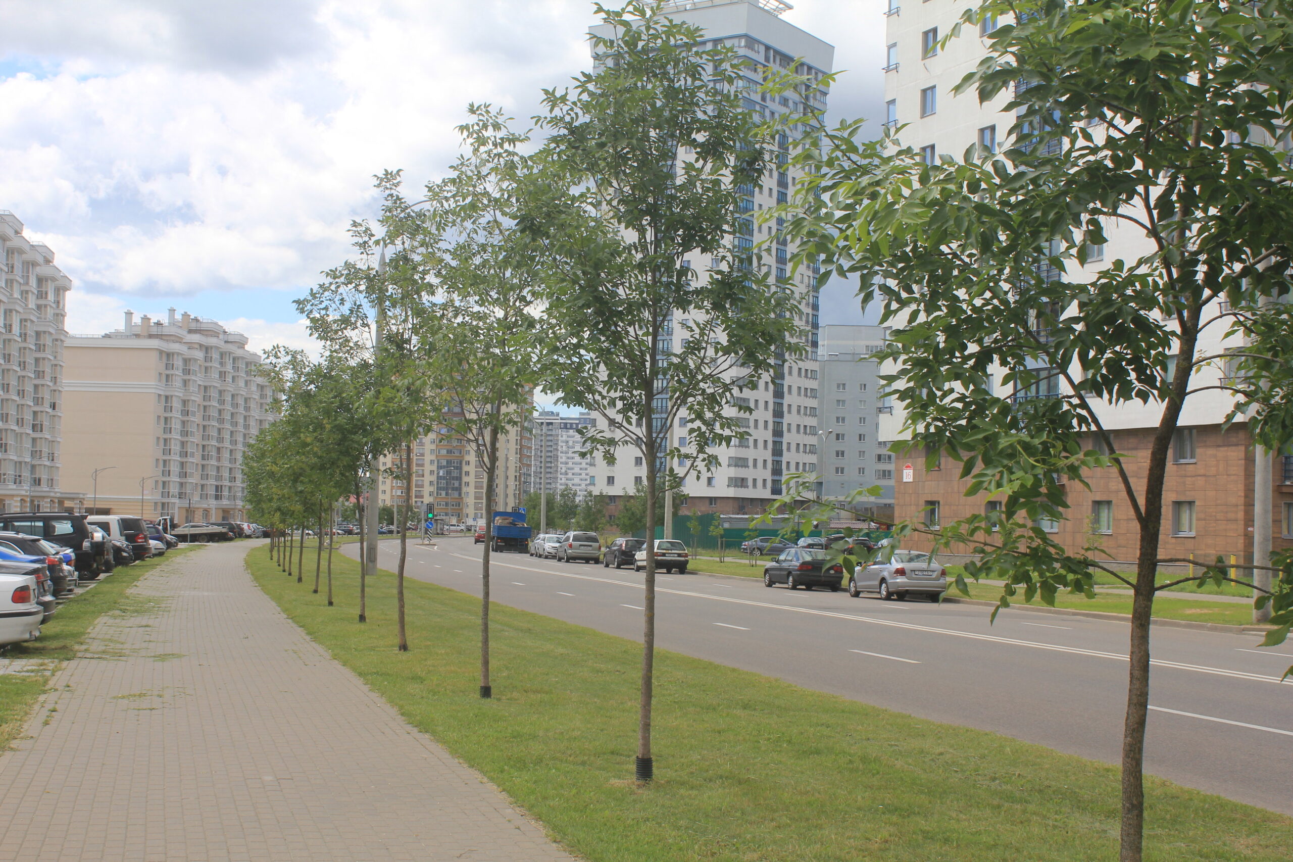 Внеплощадочные (внеквартальные) инженерные сети жилого района «Лебяжий». Ул. Проектируемая №3 от ул. Проектируемая №1 до ул. Тимирязева